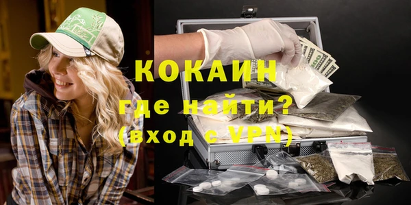 крисы Инсар