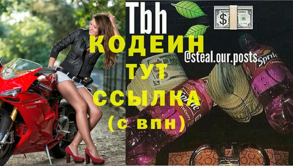 крисы Инсар