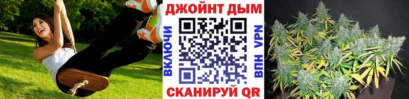 Купить где  Луза  Бошки Шишки VHQ 